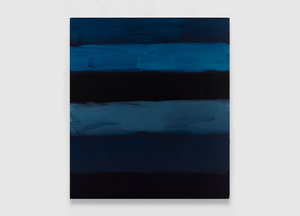 Thumbnail landline blue dark 2019za
