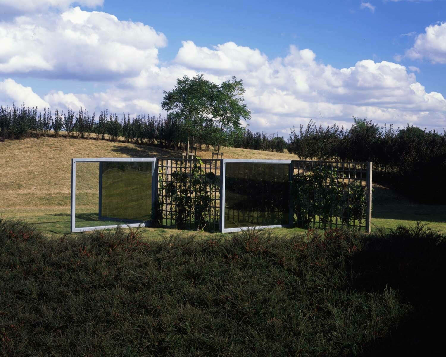 Two Way Mirror and Hedge Labyrinth