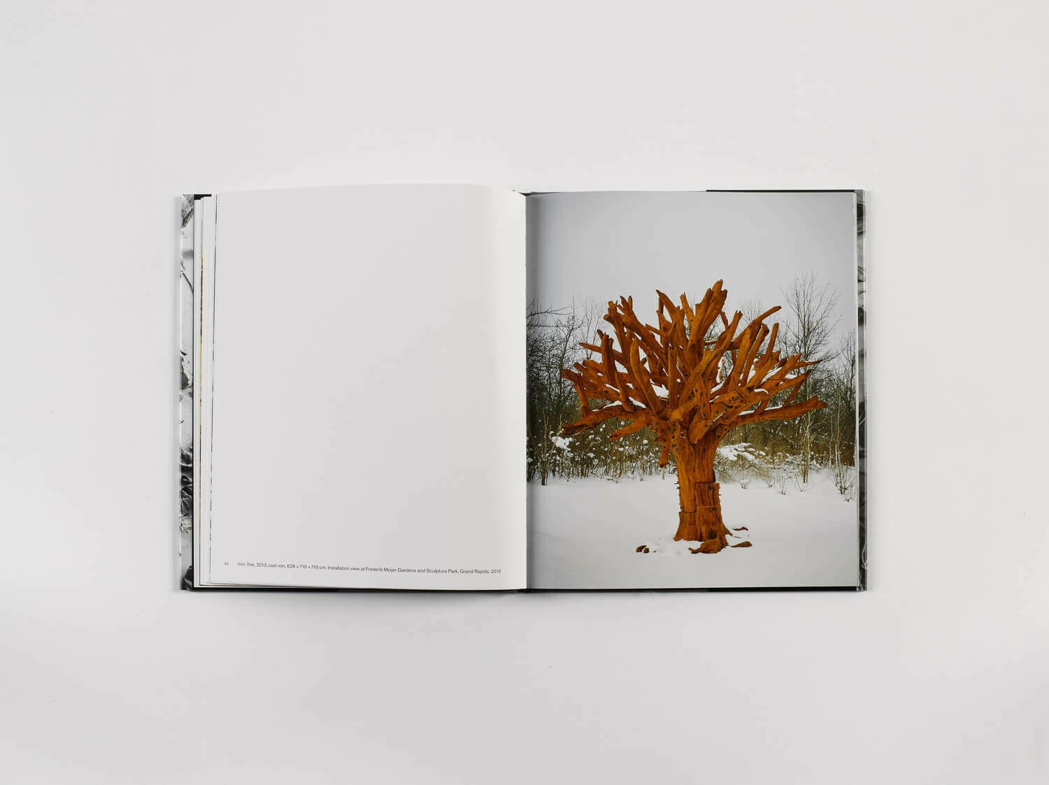 Trees