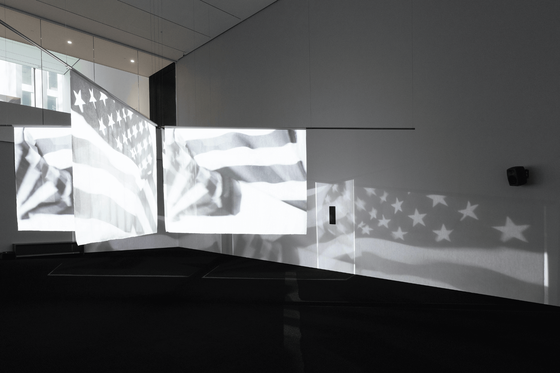 Garrett Bradley Artists Lisson Gallery