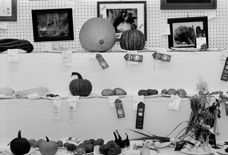 Gerard Byrne "Images or shadows of divine things" 2005 - ongoing artwork