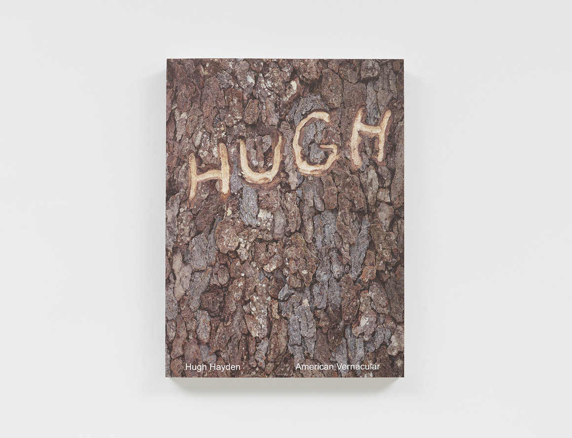 First monograph on Hugh Hayden now published by MIT Press