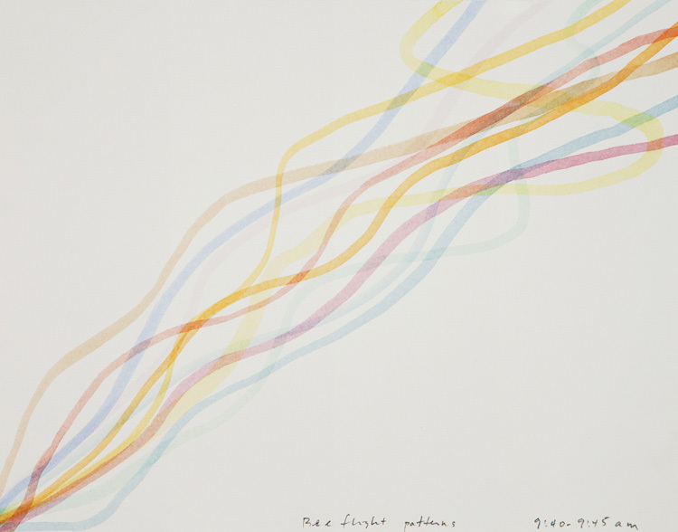 Bee Flight Patterns, 2011 artwork