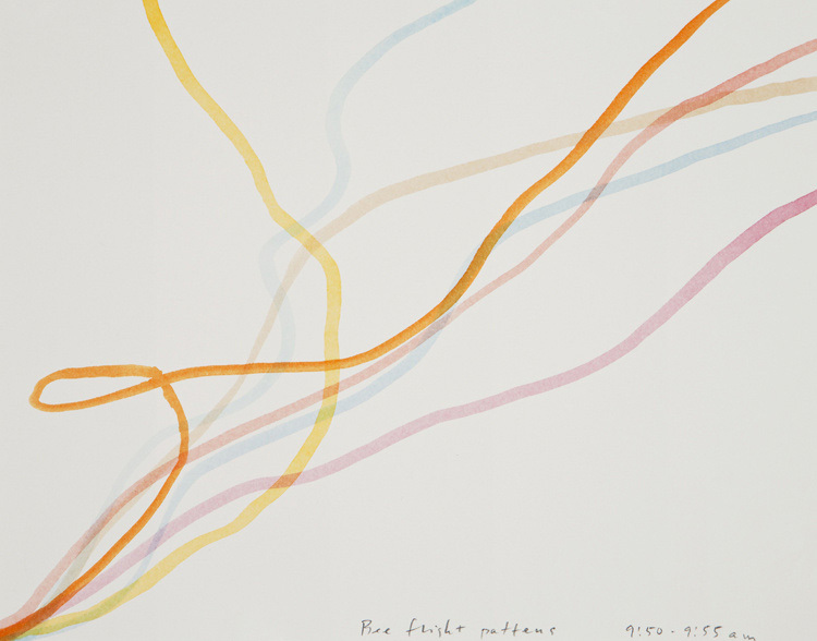 Bee Flight Patterns, 2011 artwork