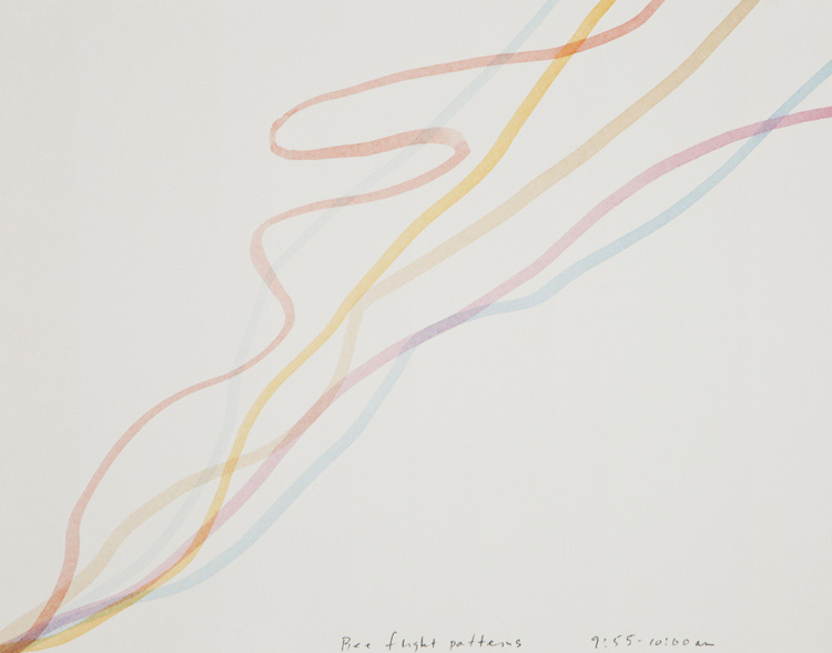 Bee Flight Patterns, 2011 artwork