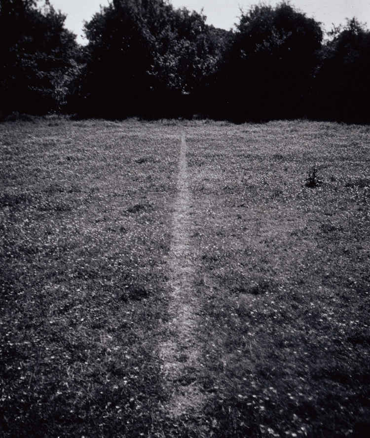 Richard Long Artists Lisson Gallery
