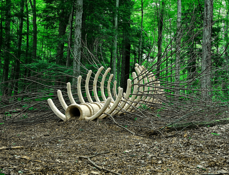 'Ground/work 2025' featuring Hugh Hayden at the Clark Art Institute, MA, USA