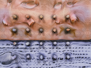 Tishan Hsu: emergence