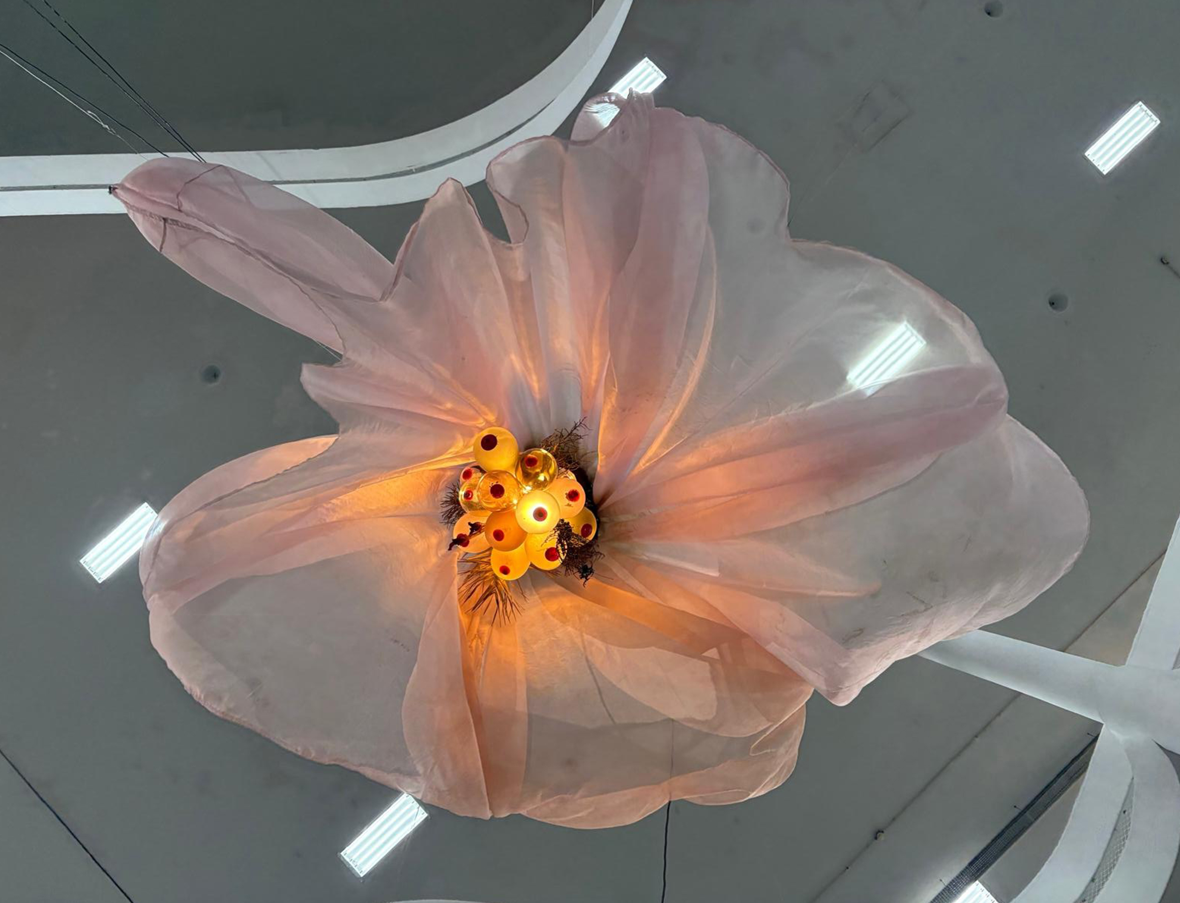 Lisson artists featured in the 36th São Paulo Biennial 