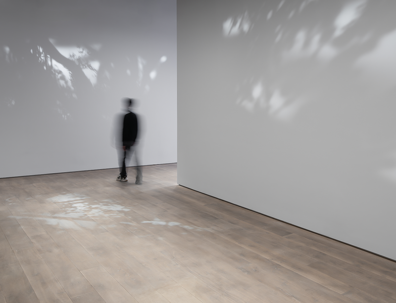 'ECHO DELAY REVERB' featuring Allora & Calzadilla at Palais de Tokyo, Paris, France
