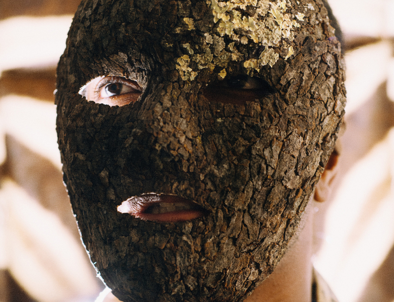 'Hugh Hayden’s Splintered Realities' – frieze