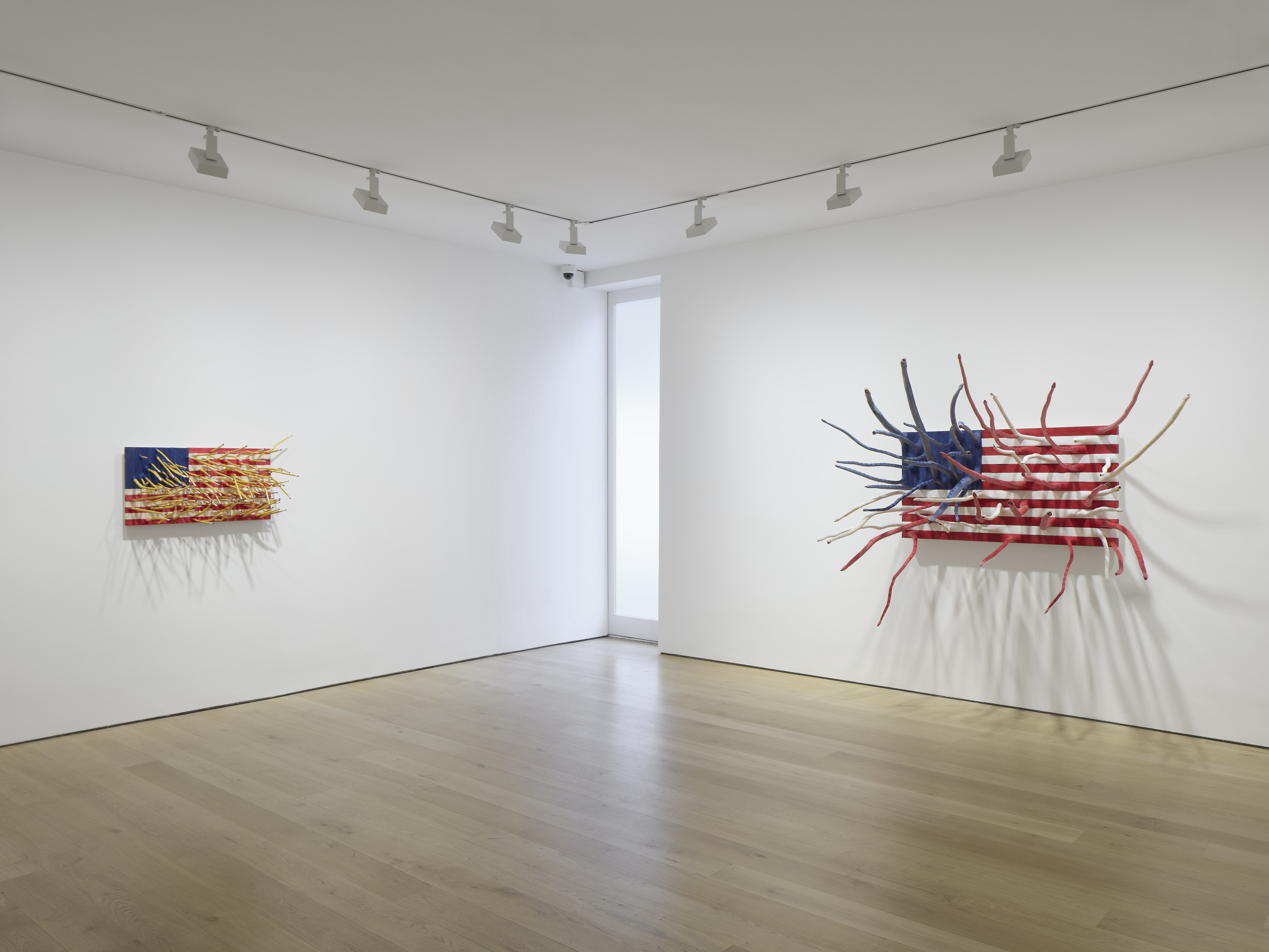 Hugh Hayden: Hughmanity artwork