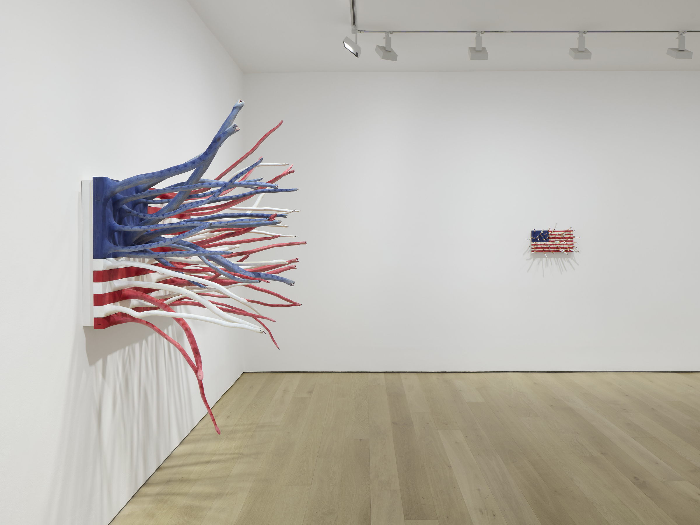 Hugh Hayden: Hughmanity artwork