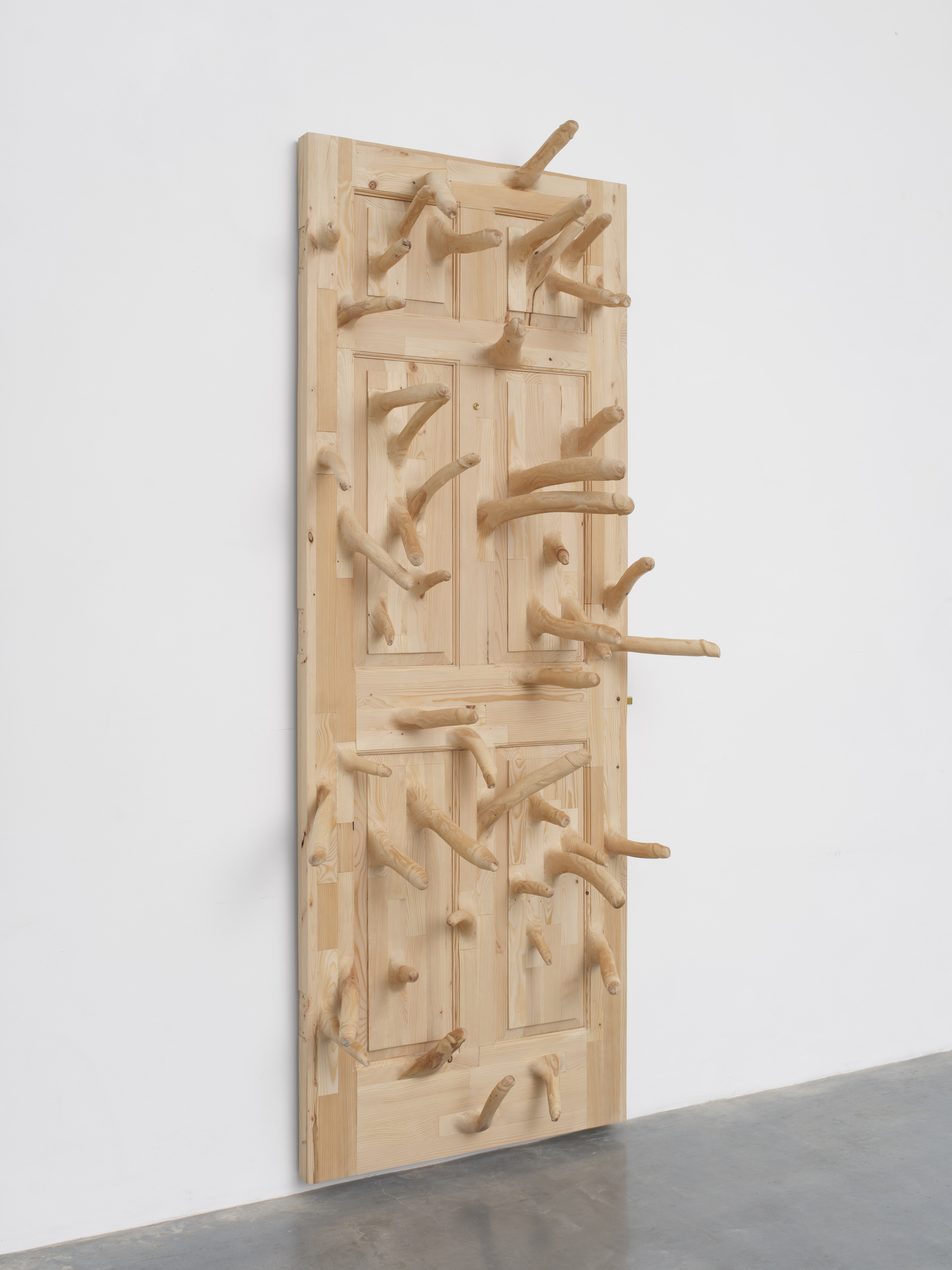 HAYD250018 artwork