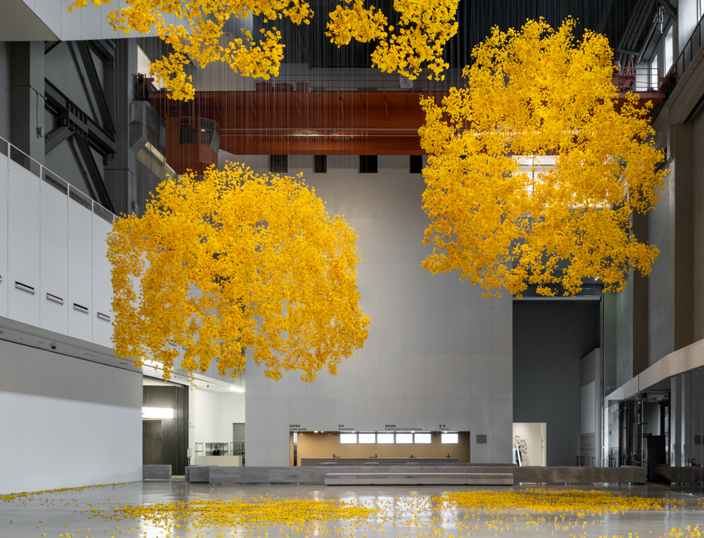 15th Shanghai Biennale featuring Allora & Calzadilla at Power Station of Art, Shanghai, China