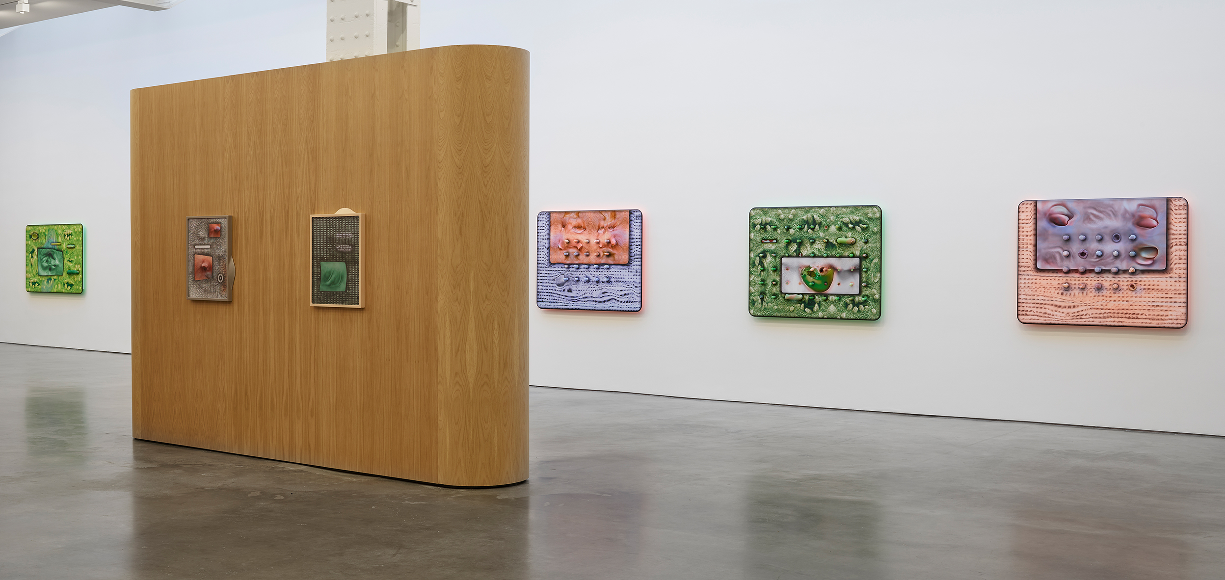 Tishan Hsu: emergence exhibition