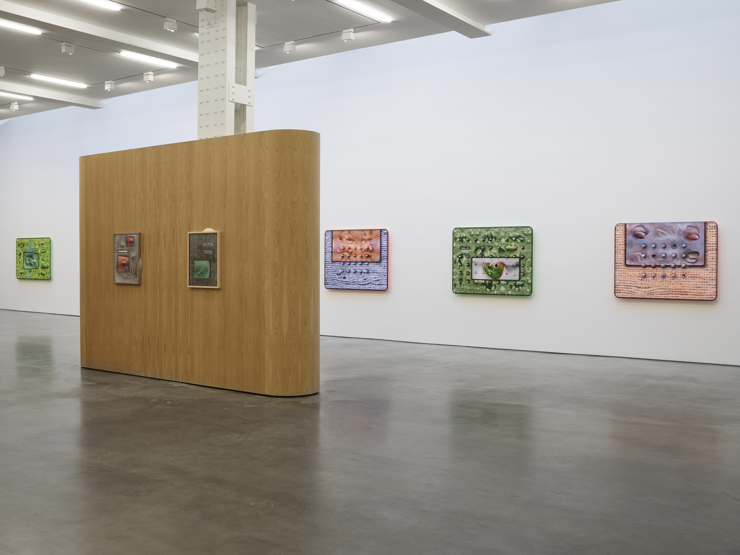 Tishan Hsu: emergence artwork