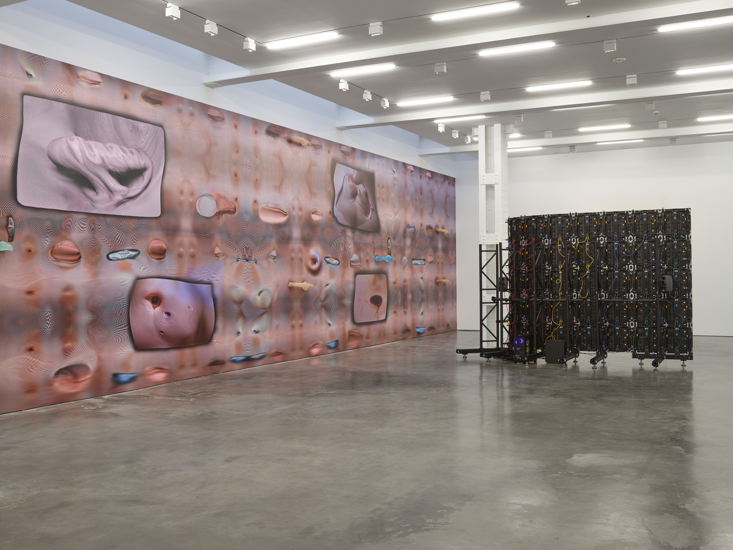 Tishan Hsu: emergence artwork