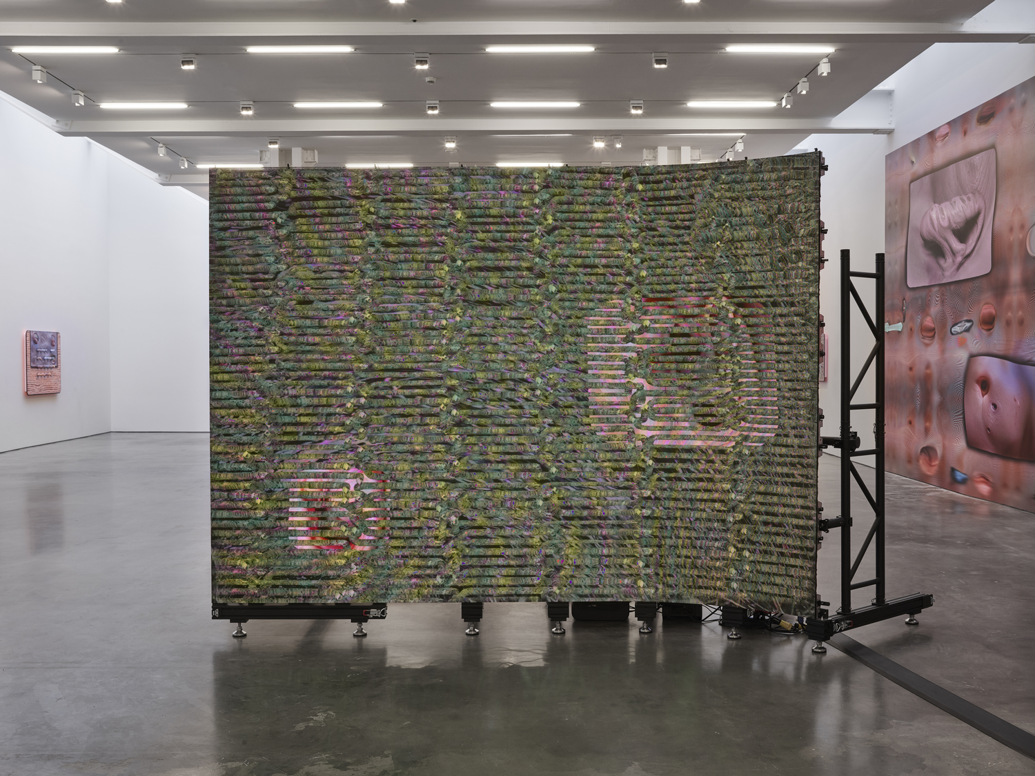 Tishan Hsu: emergence artwork