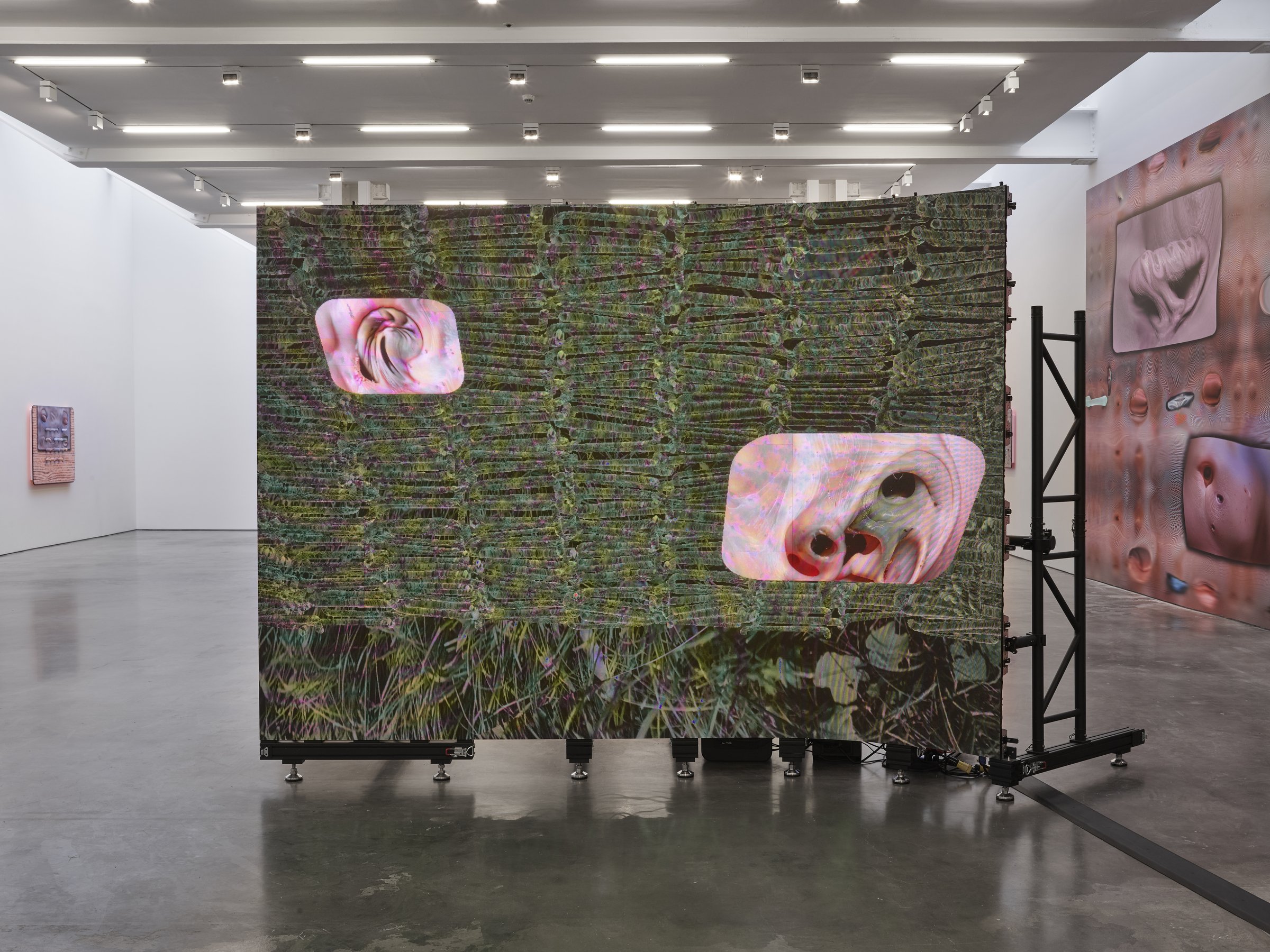 Tishan Hsu: emergence