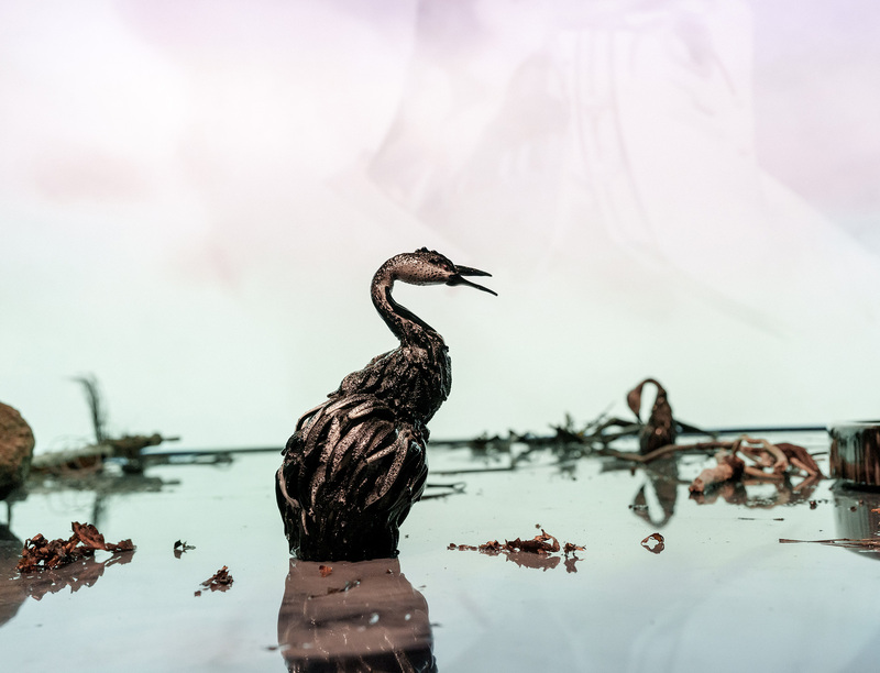 'Step Inside' featuring Laure Prouvost at ARoS, Aarhus, Denmark