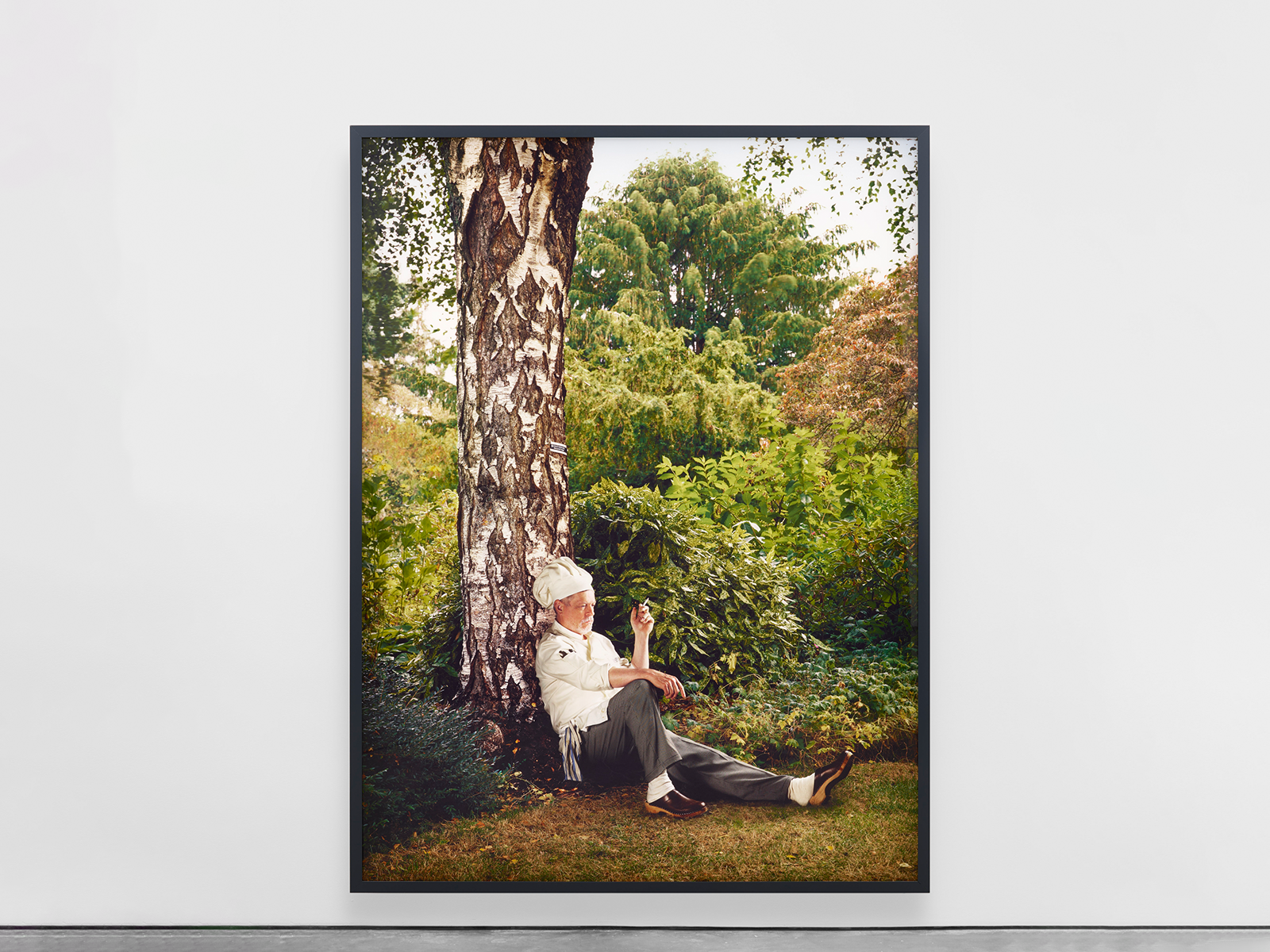 Rodney Graham: Who does not love a tree?