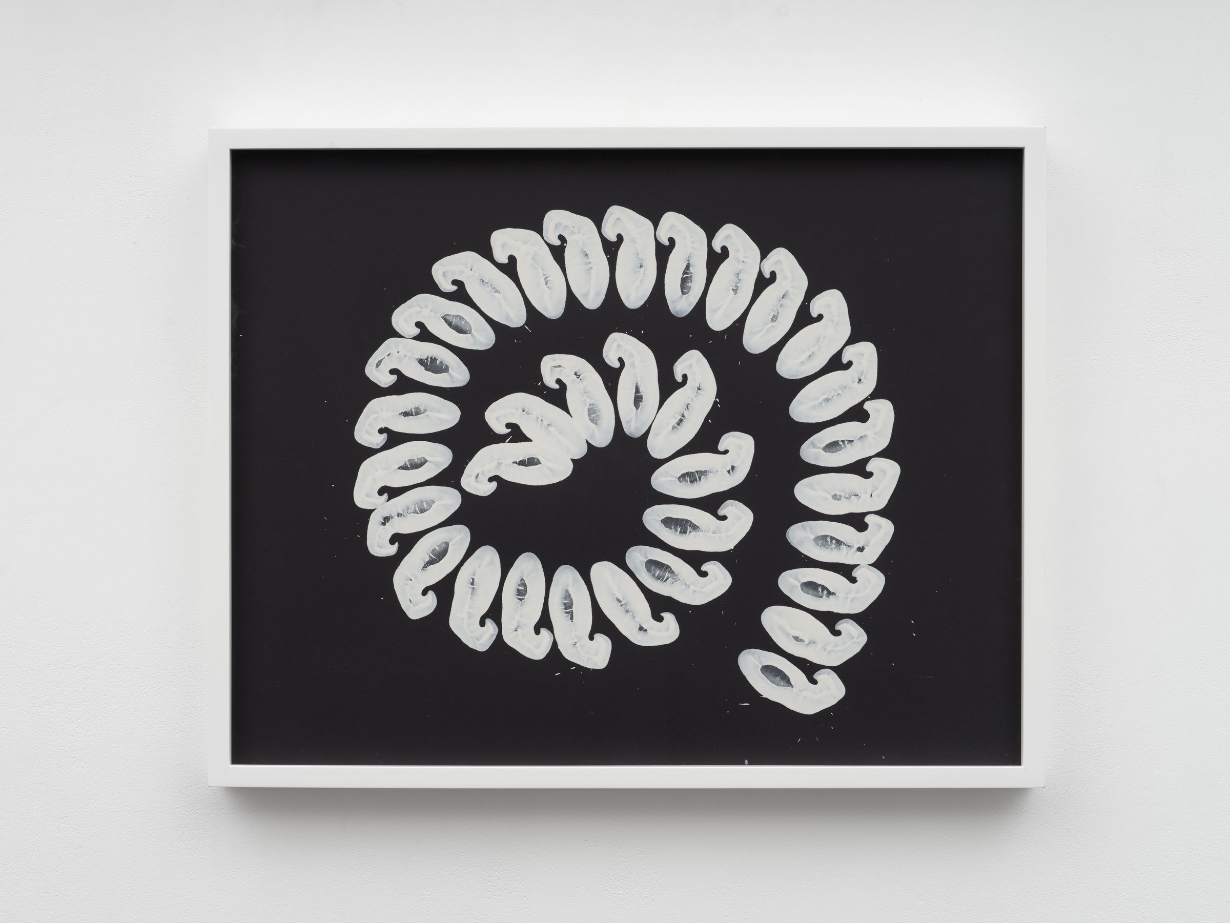 Lisson Street: Lucy Raven | Richard Long | John Latham