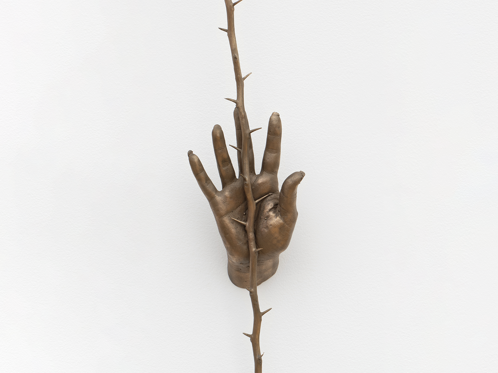 Kelly Akashi artwork