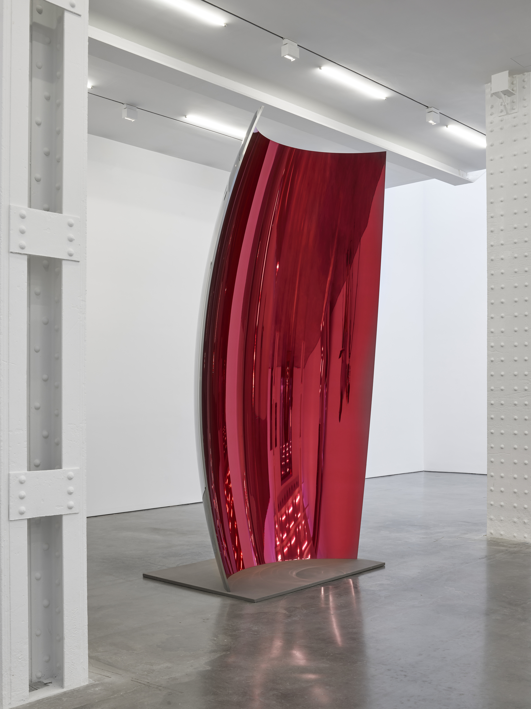 Anish Kapoor artwork