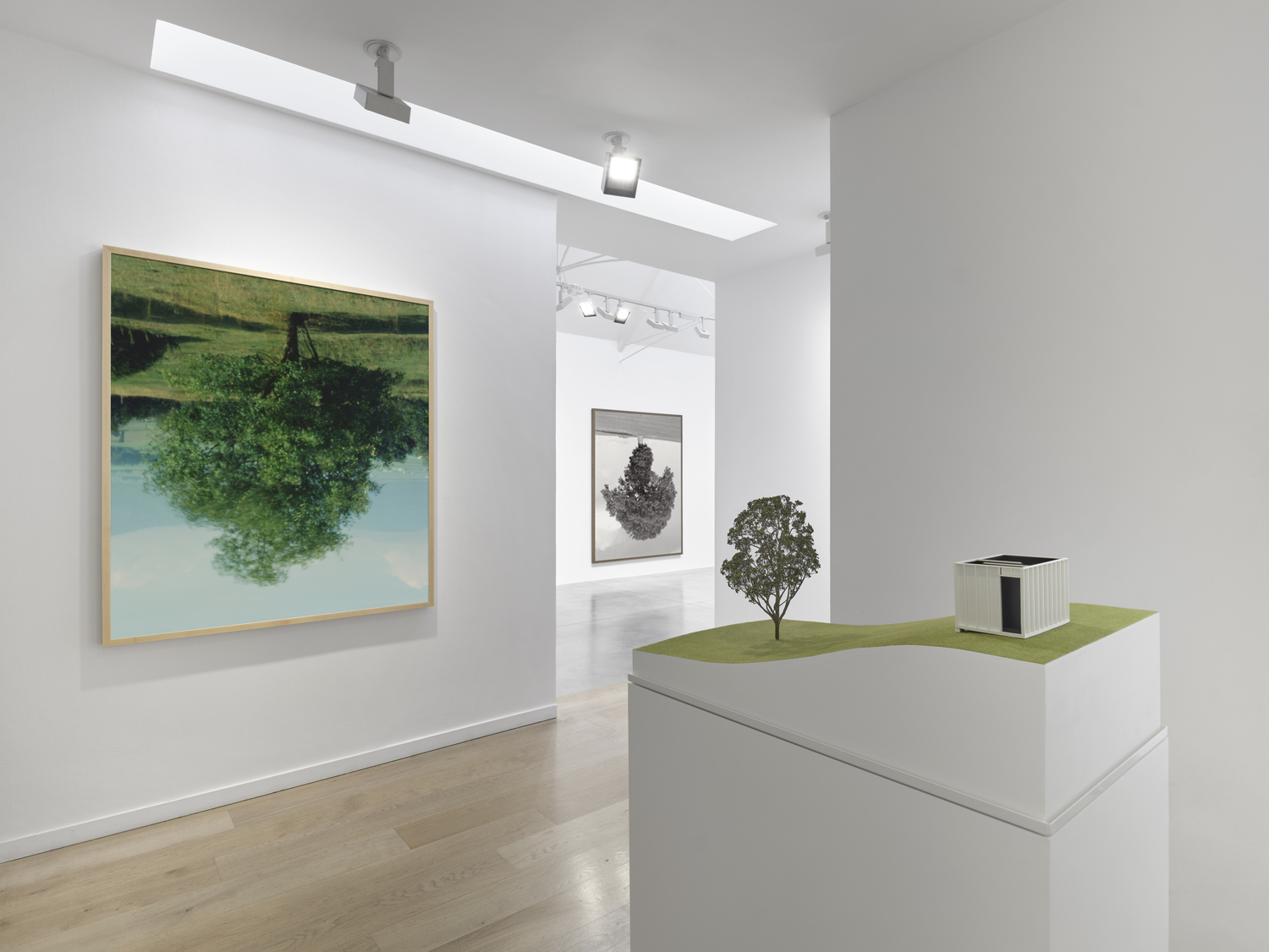 Rodney Graham: Who does not love a tree? artwork