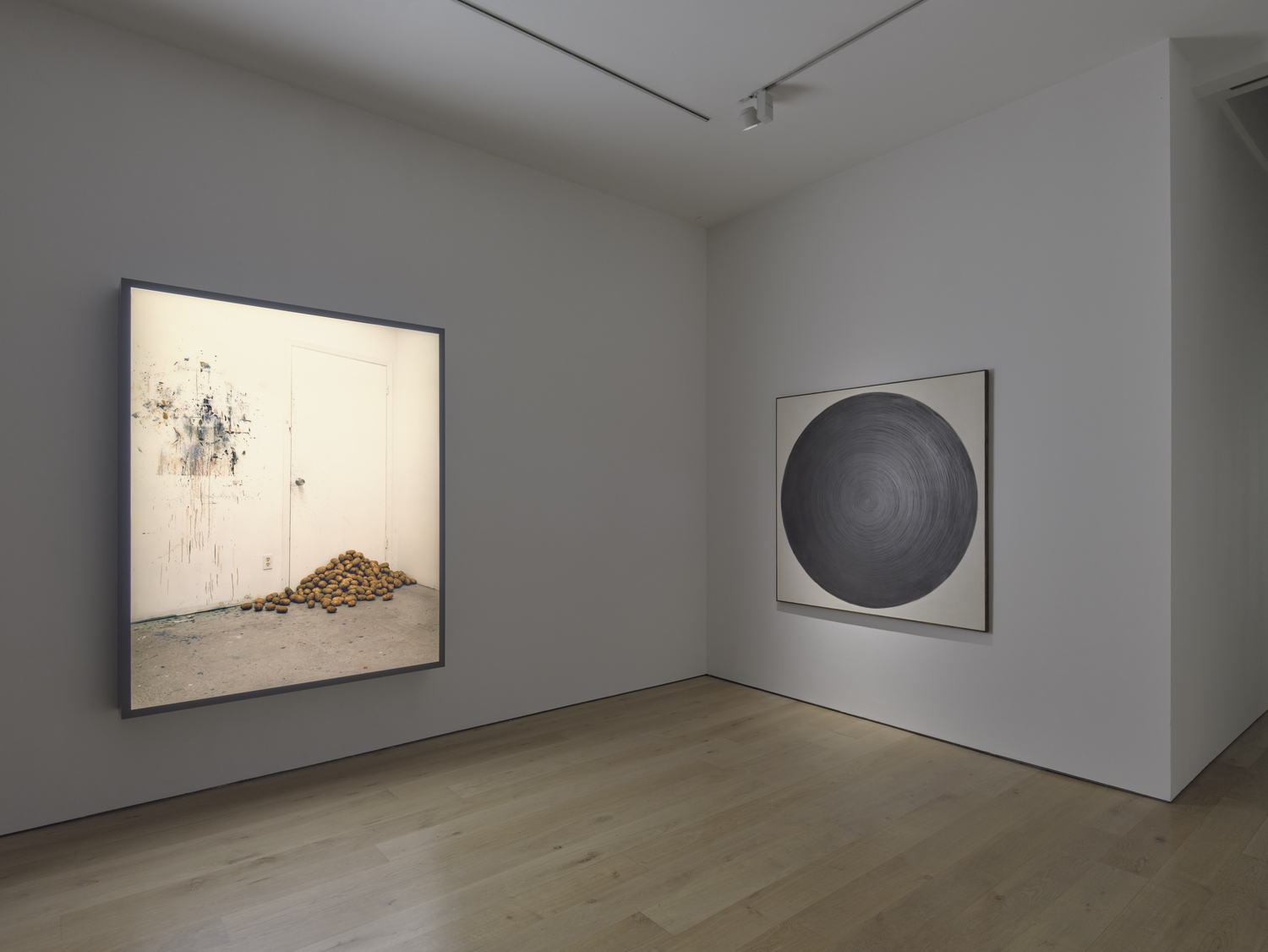 Rodney Graham: Who does not love a tree? artwork