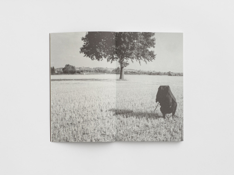 'Rodney Graham: Trees' by Max Porter