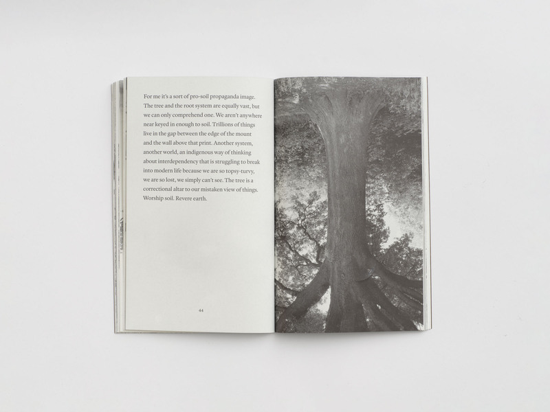 'Rodney Graham: Trees' by Max Porter