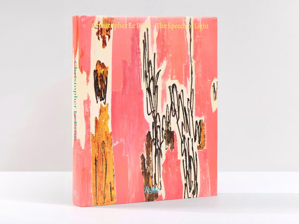 The Speech of Light, Paintings 2013-2024 cover