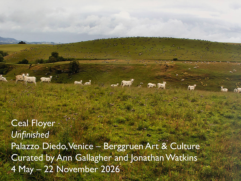 Lisson Gallery Artists in Venice