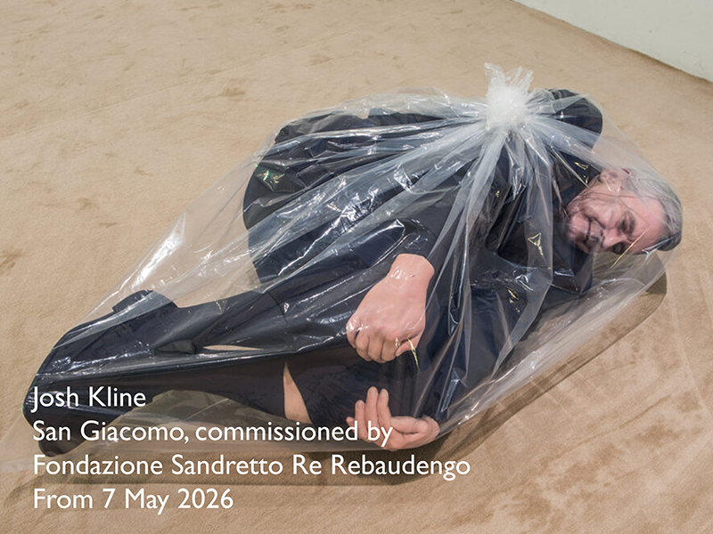 Lisson Gallery Artists in Venice