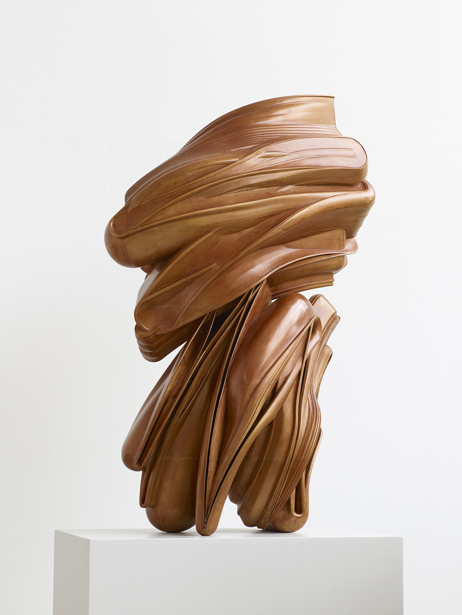 Venice 2026 | Tony Cragg at Ca'Tron artwork