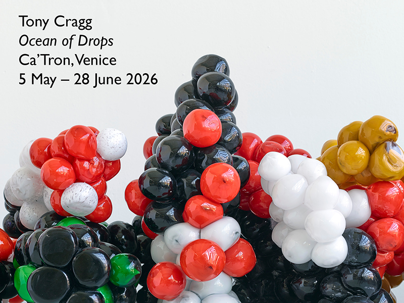 Lisson Gallery Artists in Venice