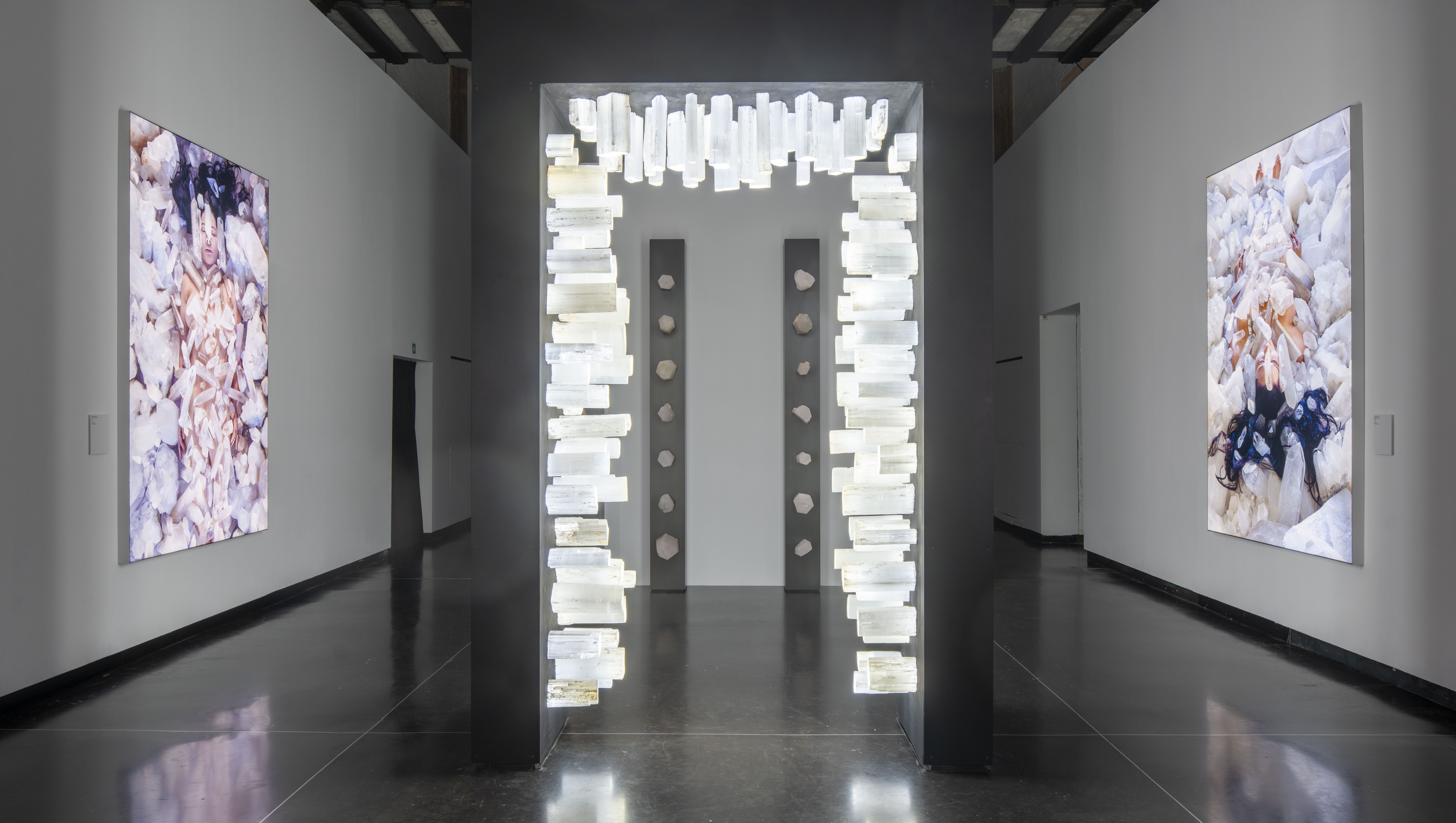 Venice 2026 | Marina Abramović at Gallerie dell'Accademia di Venezia artwork