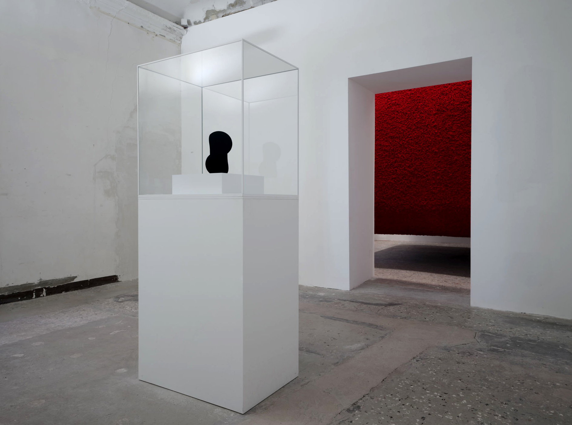 Venice 2026 | Anish Kapoor at Palazzo Manfrin artwork