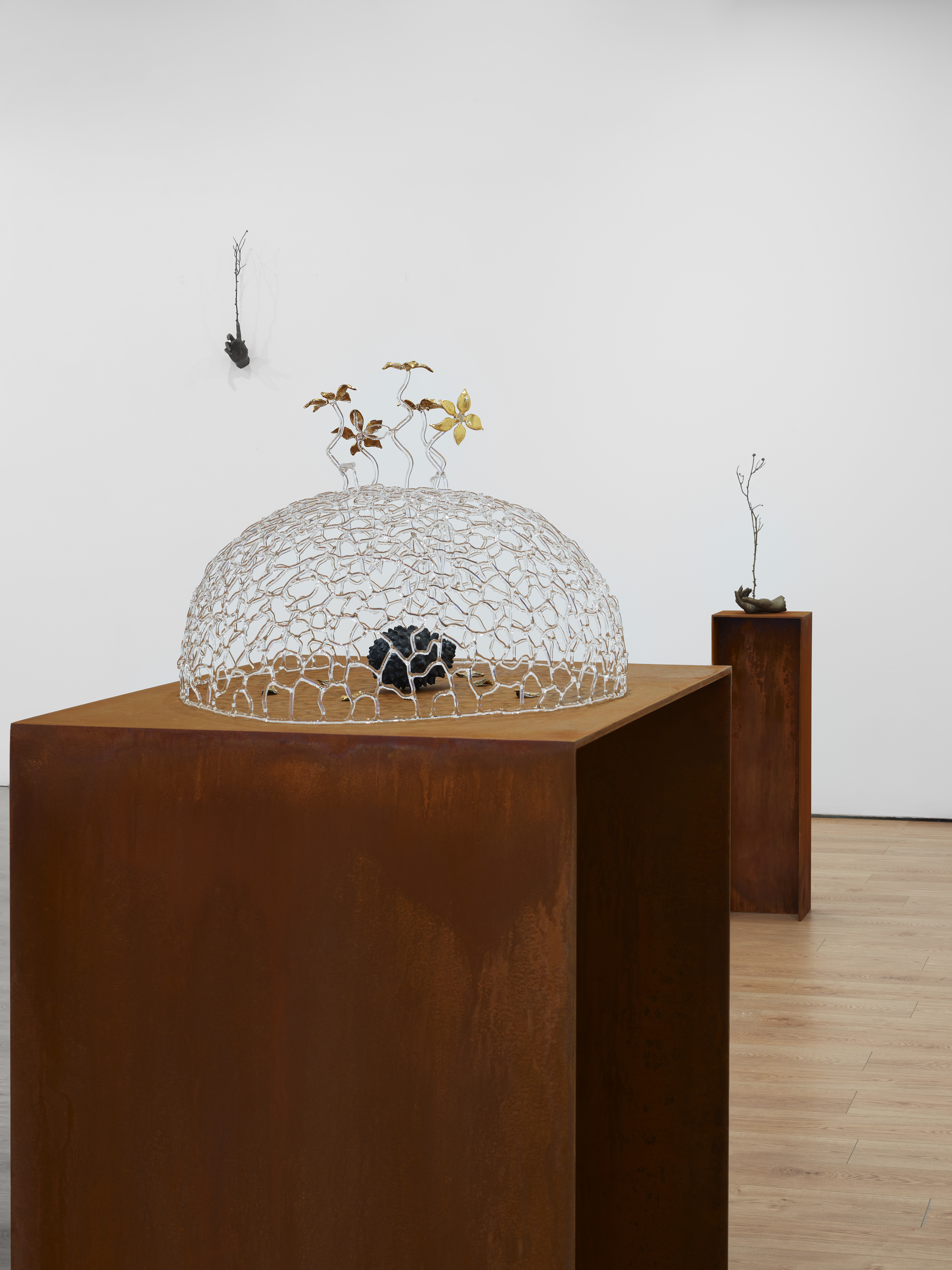 Kelly Akashi: Heirloom artwork