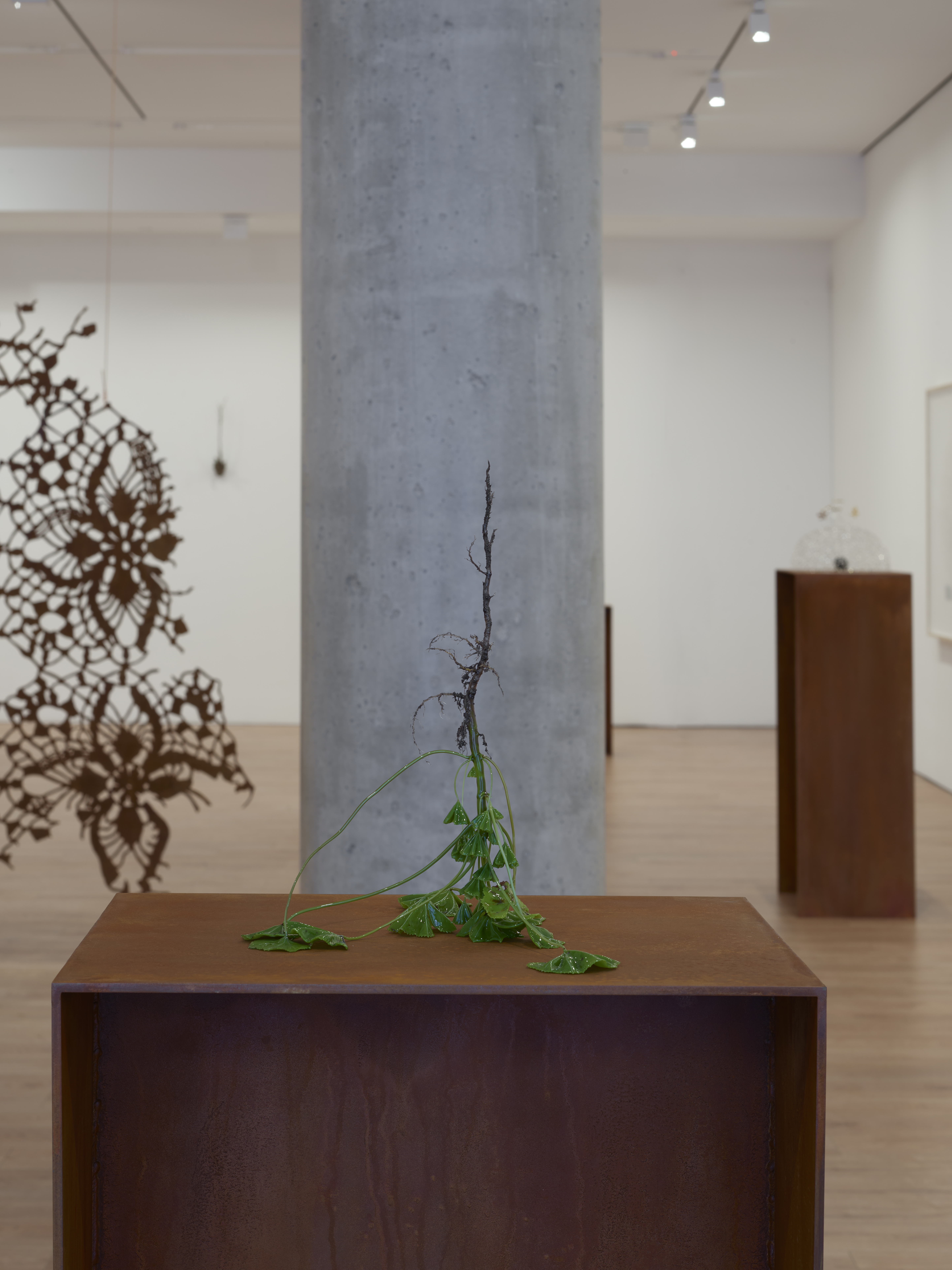 Kelly Akashi: Heirloom artwork