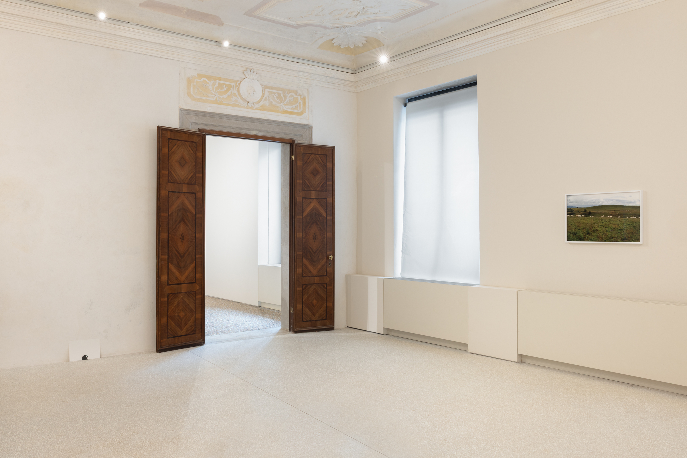 Venice 2026 | Ceal Floyer at Palazzo Diedo artwork