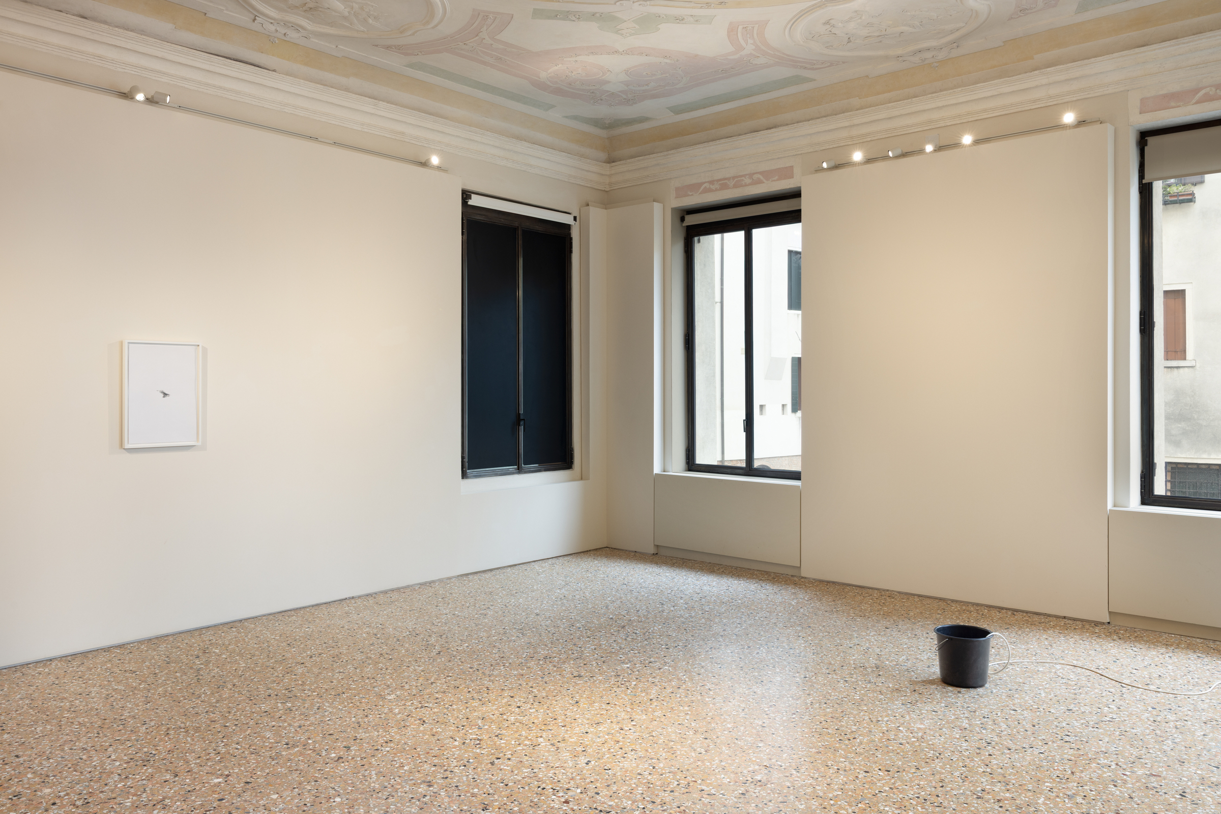 Venice 2026 | Ceal Floyer at Palazzo Diedo artwork