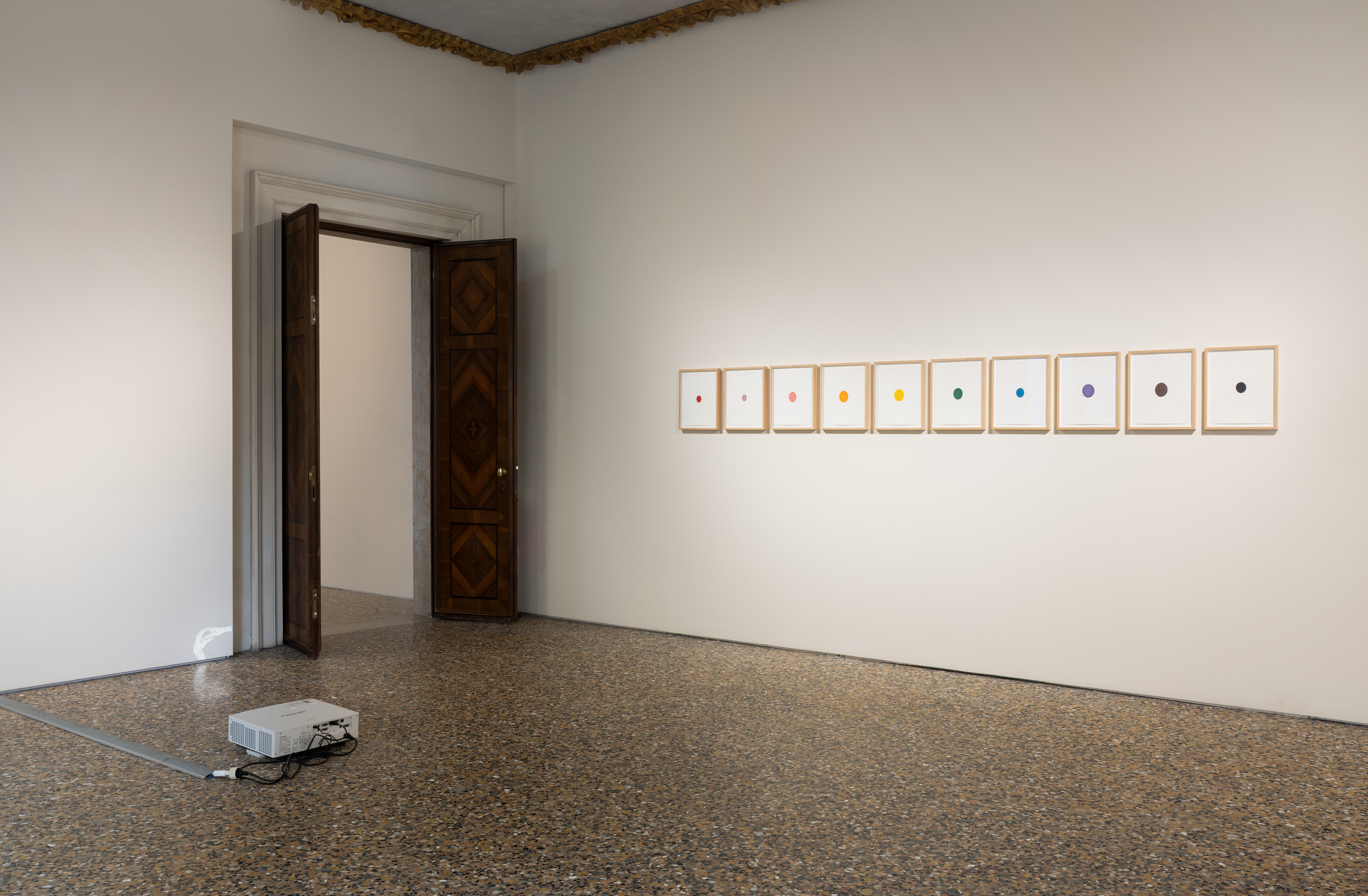 Venice 2026 | Ceal Floyer at Palazzo Diedo artwork