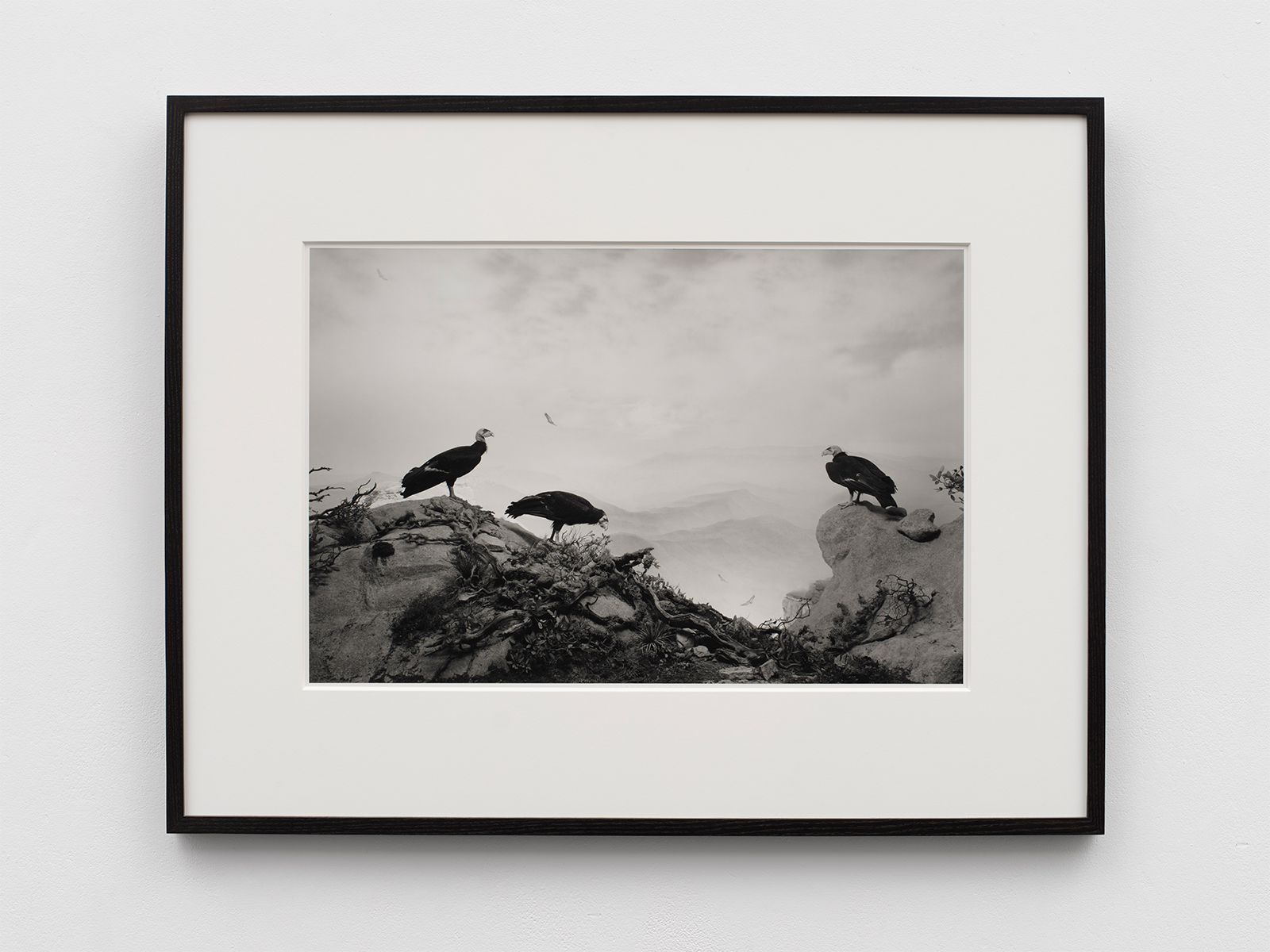 Hiroshi Sugimoto