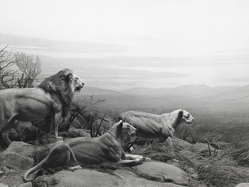 Hiroshi Sugimoto