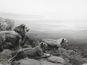 Hiroshi Sugimoto